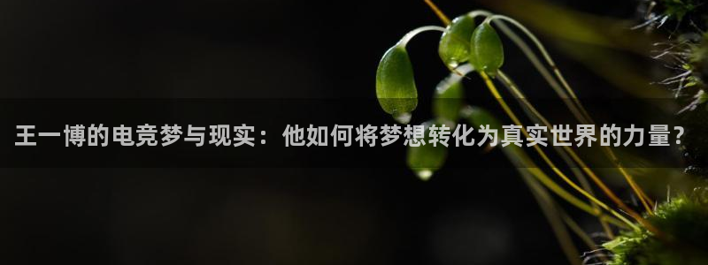 乐竞电竞体育,官方网站：王一博的电竞梦与