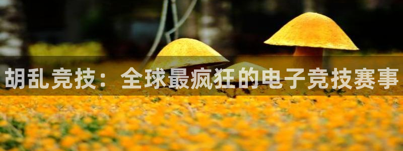 乐竞电竞和泛亚电竞