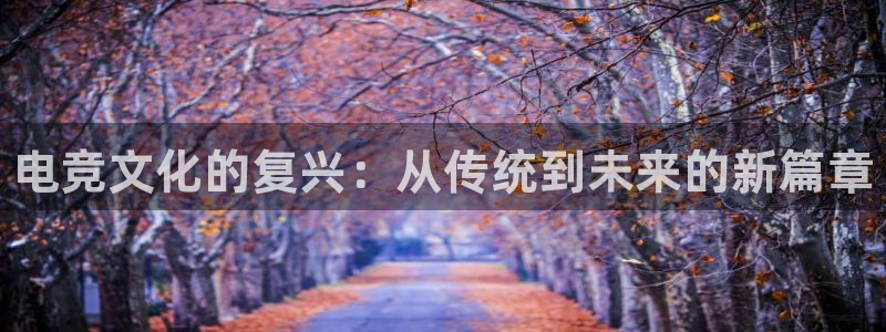 乐竞电竞app官方下载：电竞文化的复兴：