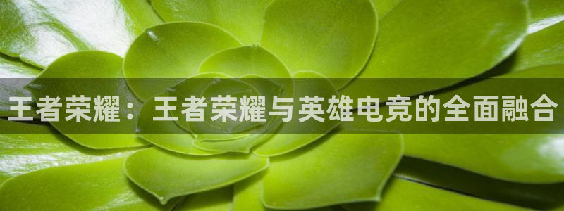乐竞电竞俱乐部：王者荣耀：王者荣耀与英雄