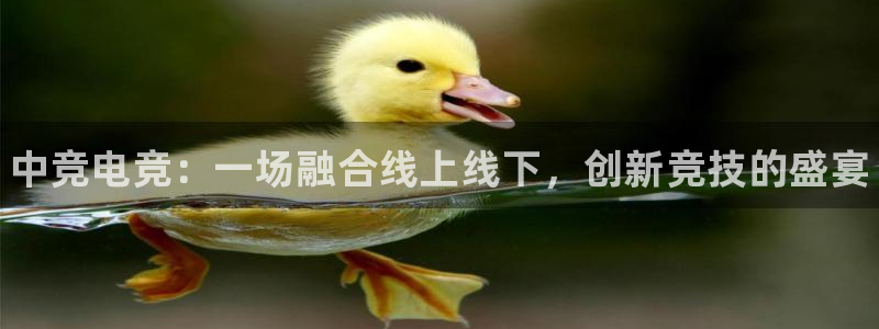 乐竞电竞体育下载：中竞电竞：一场融合线上