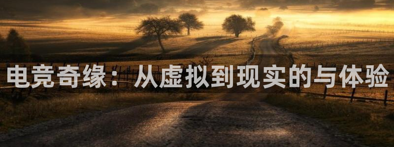 乐竞电竞体育,官方网站：电竞奇缘：从虚拟