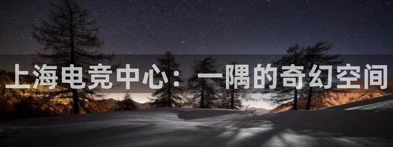 乐竞电竞竞猜app下载：上海电竞中心：一